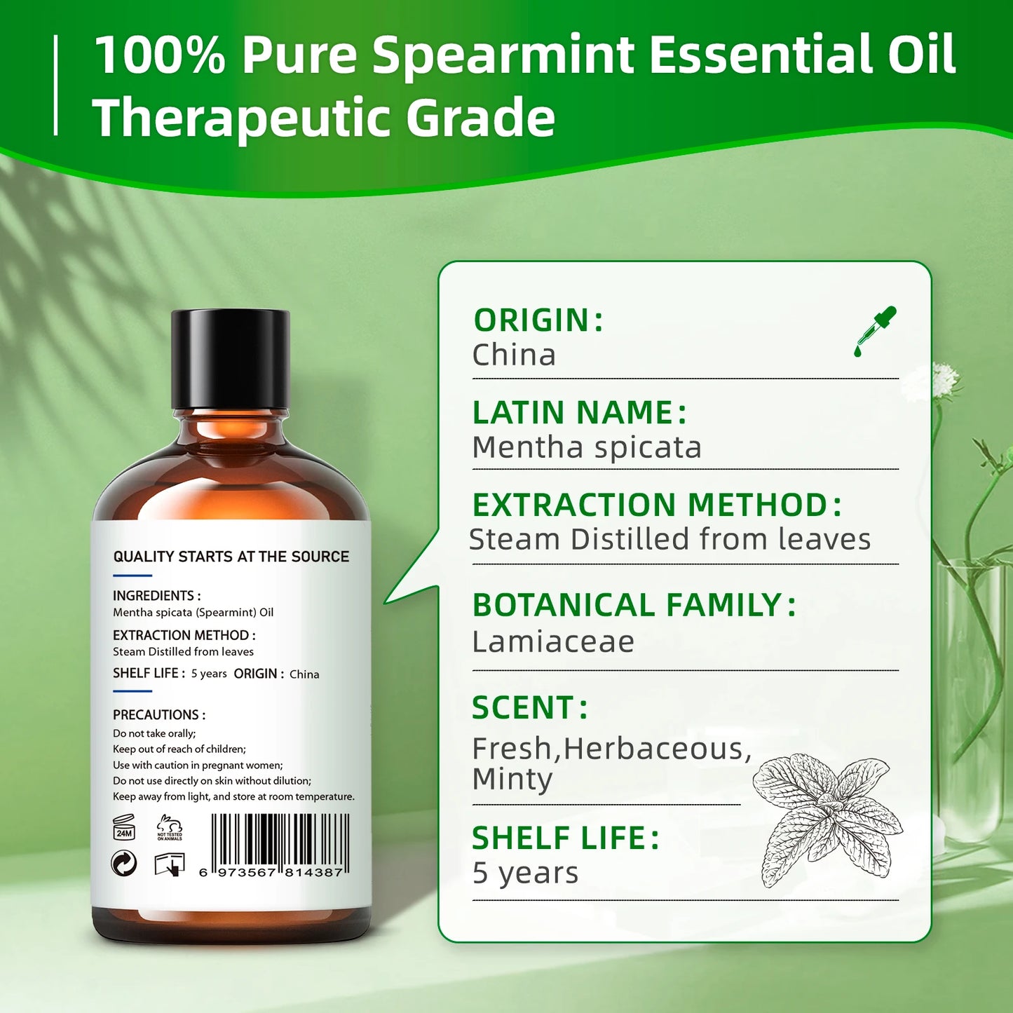 Hiqili Spearmint Vanilla Rose Cinnamon Lemon Essential Oils 100Ml Pure Blend Set