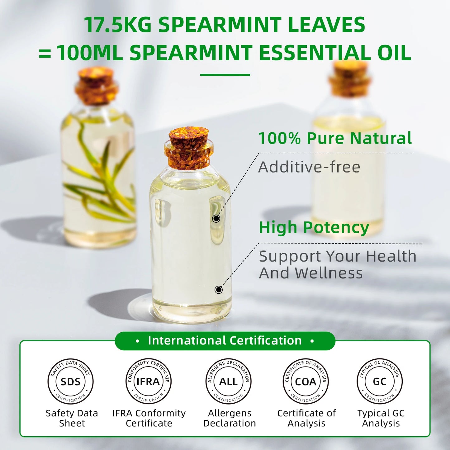 Hiqili Spearmint Vanilla Rose Cinnamon Lemon Essential Oils 100Ml Pure Blend Set