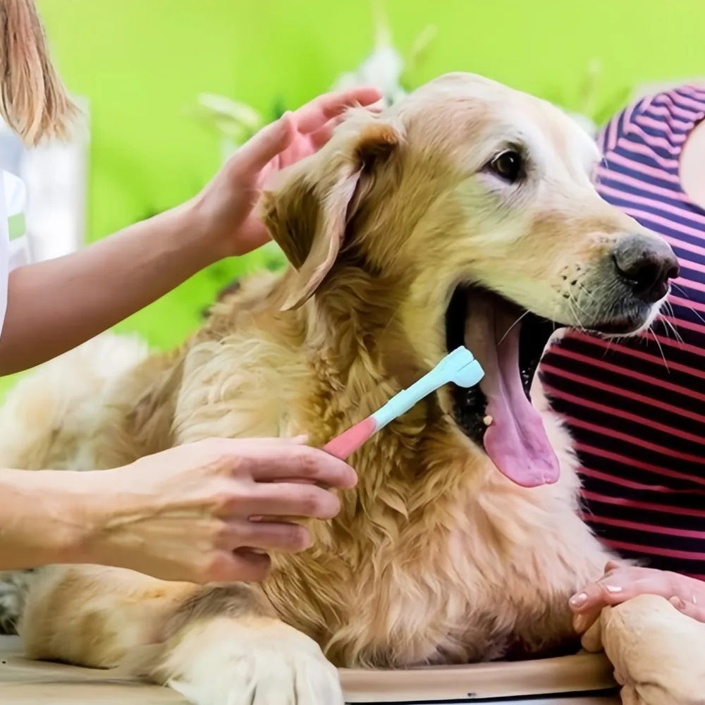 Triple Head Pet Toothbrush Removes Plaque Tartar For Dogs Cats