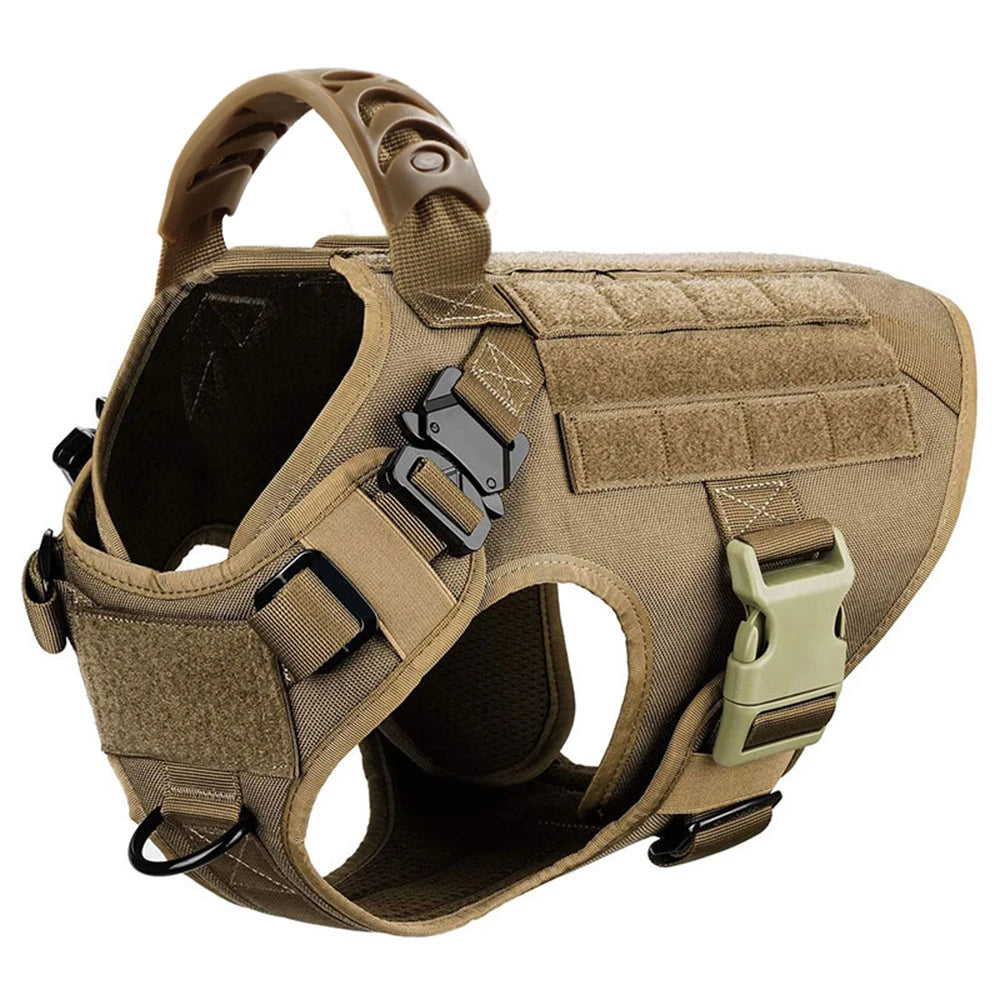Nylon Dog Harness And Leash Set With Padded Quick-Release Buckle