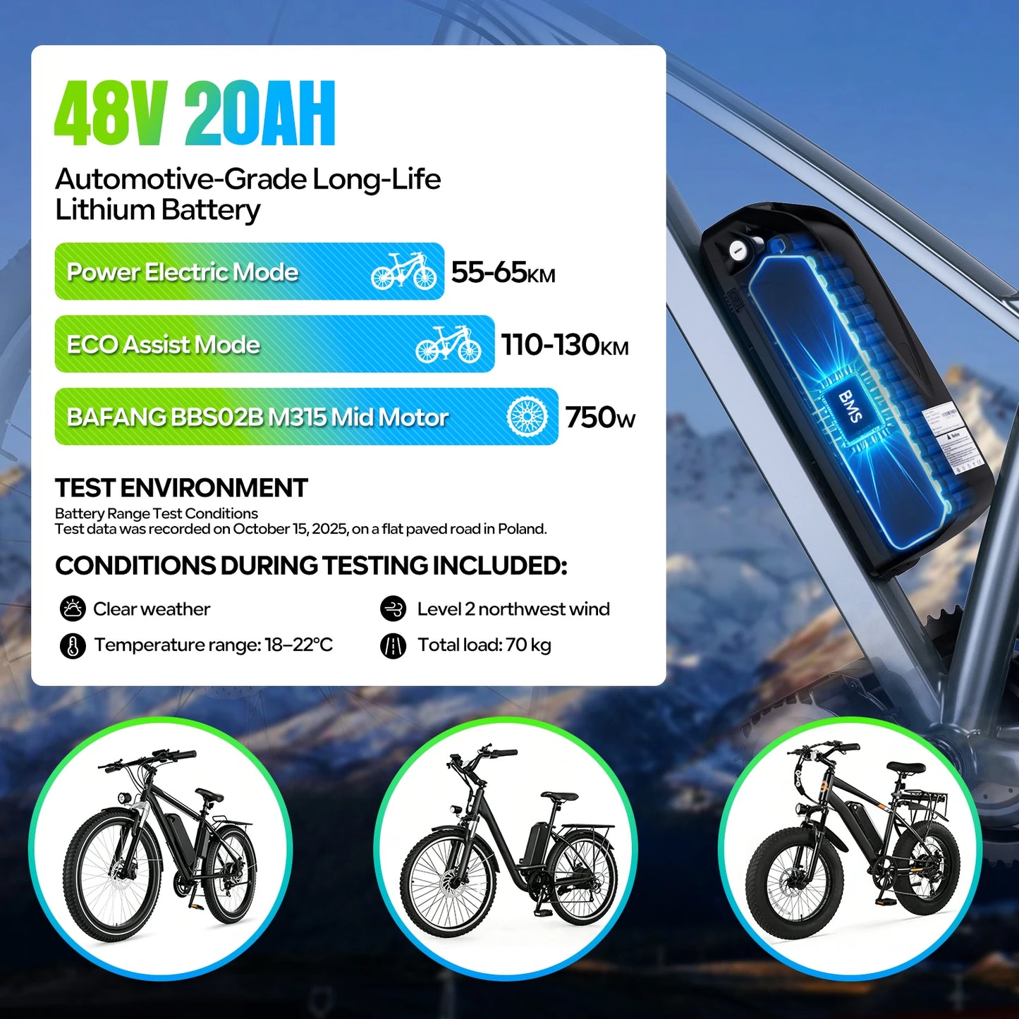 Hailong Professional Ebike Battery Downtube Power Pack