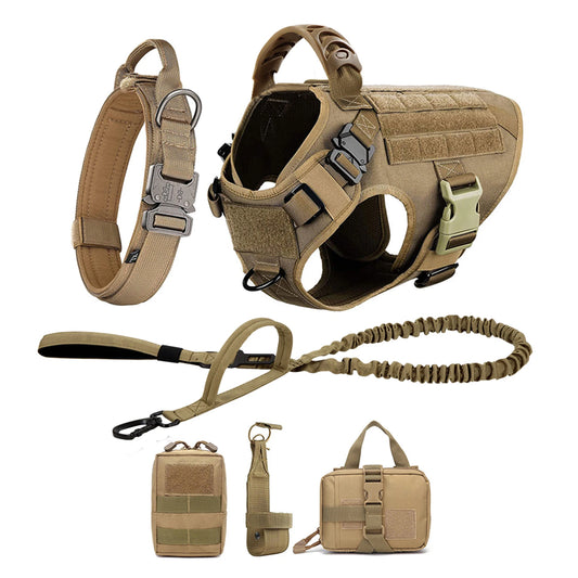 Nylon Dog Harness And Leash Set With Padded Quick-Release Buckle