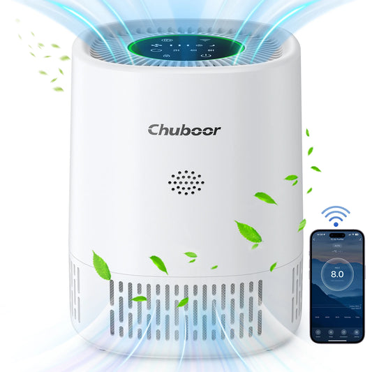 Chuboor Desktop Air Purifier Filters Smoke Dust And Allergens